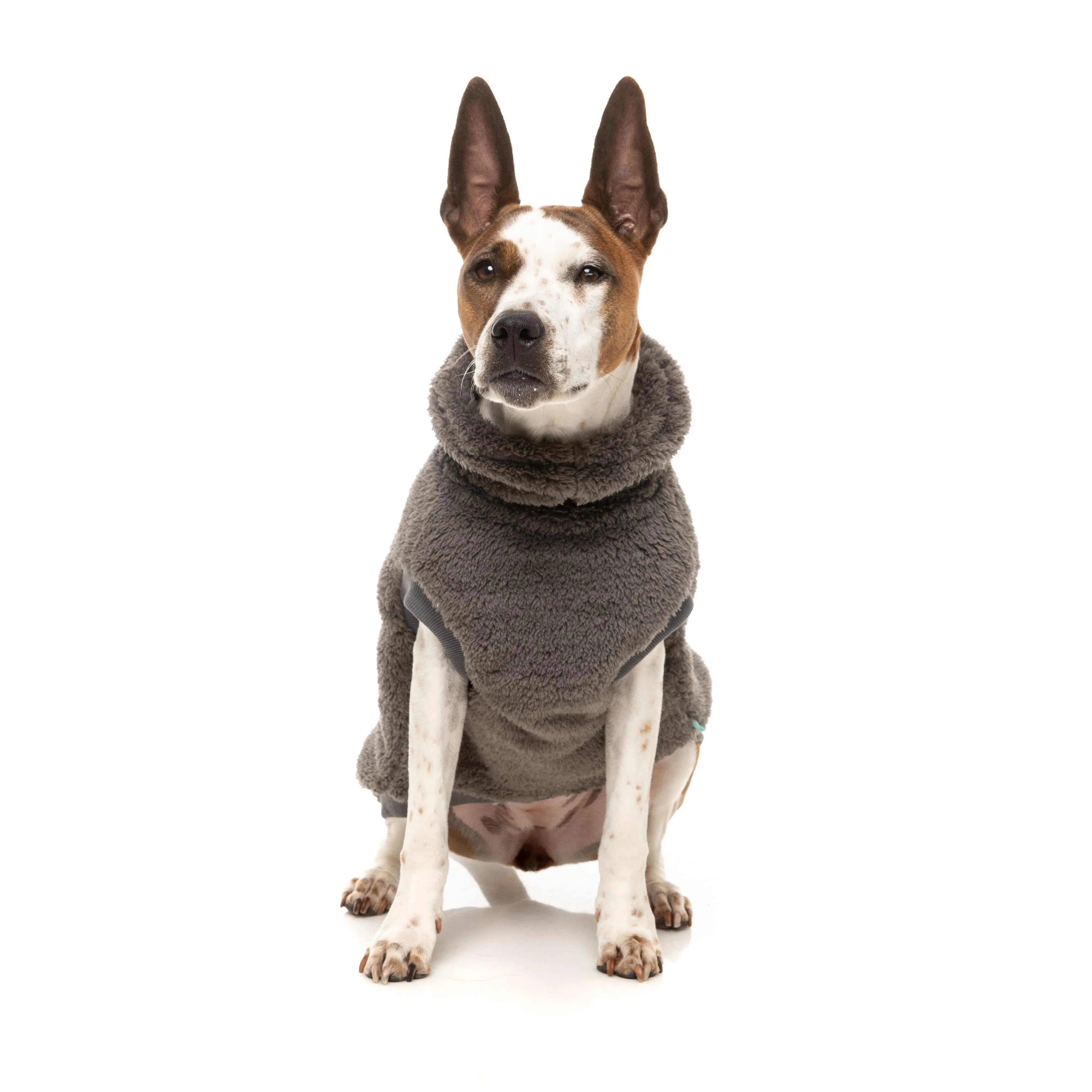 FuzzYard Dog Apparel Turtle Teddy 25 Sweater Gunmetal Grey Size 4 ^ ^