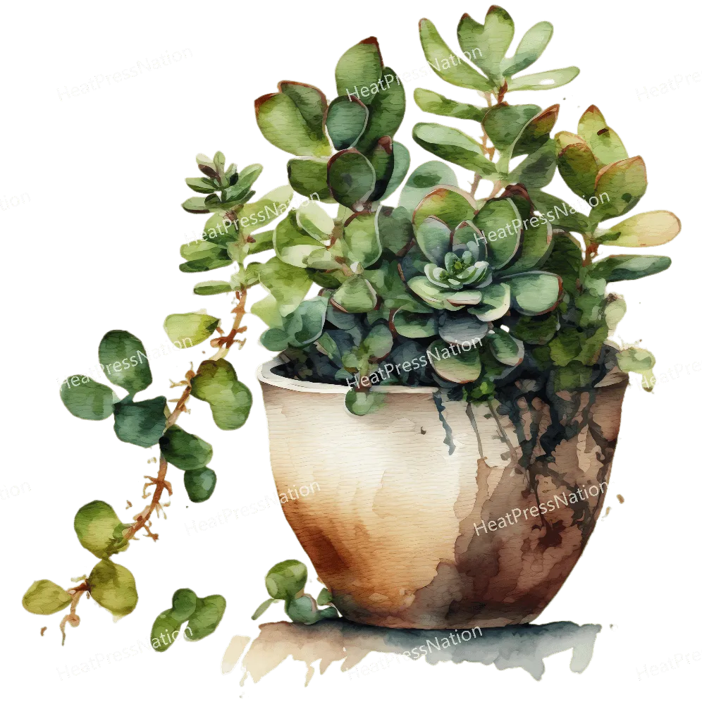 Plants Growing Design